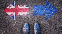‘Short’ Brexit transition concerns adviser body