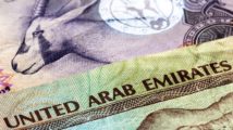 UAE Currency