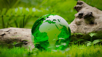 a transparent glass earth in the forest, 3d rendering