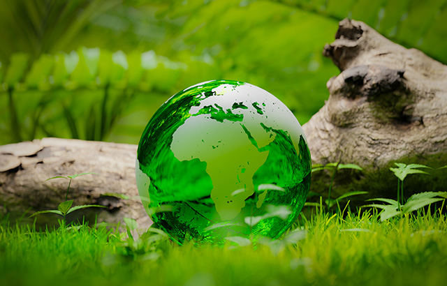a transparent glass earth in the forest, 3d rendering